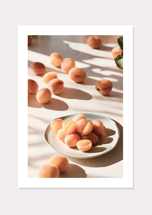 Apricot Plate Poster  - Wall Art Print