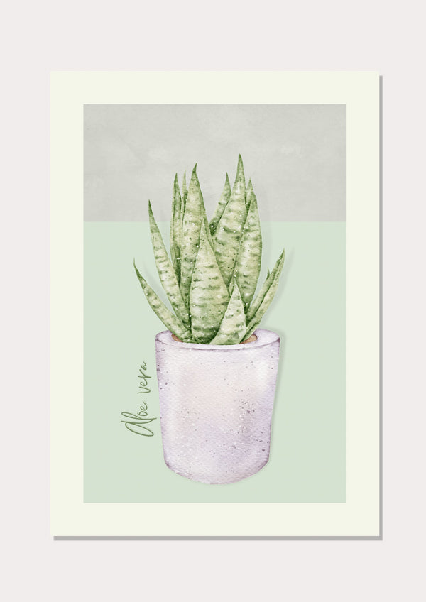 Aloe Vera - Wall Art Print