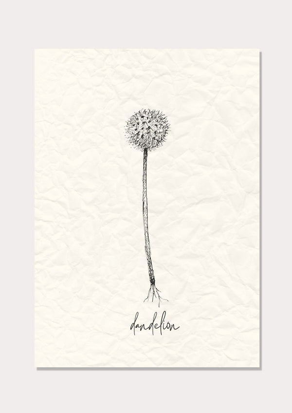 Dandelion - Wall Art Print