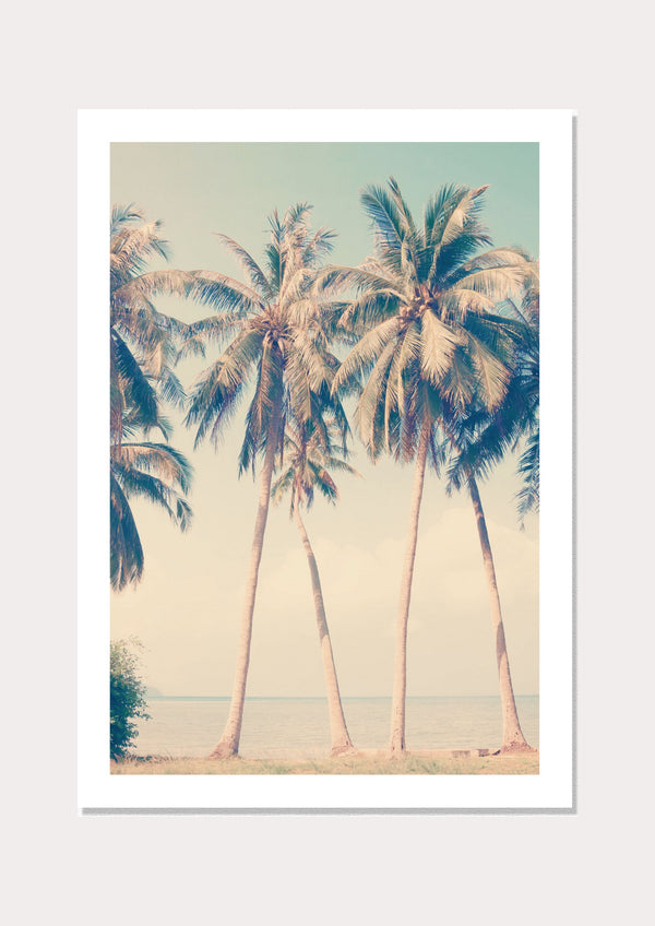 Nordic Palm - Wall Art Print