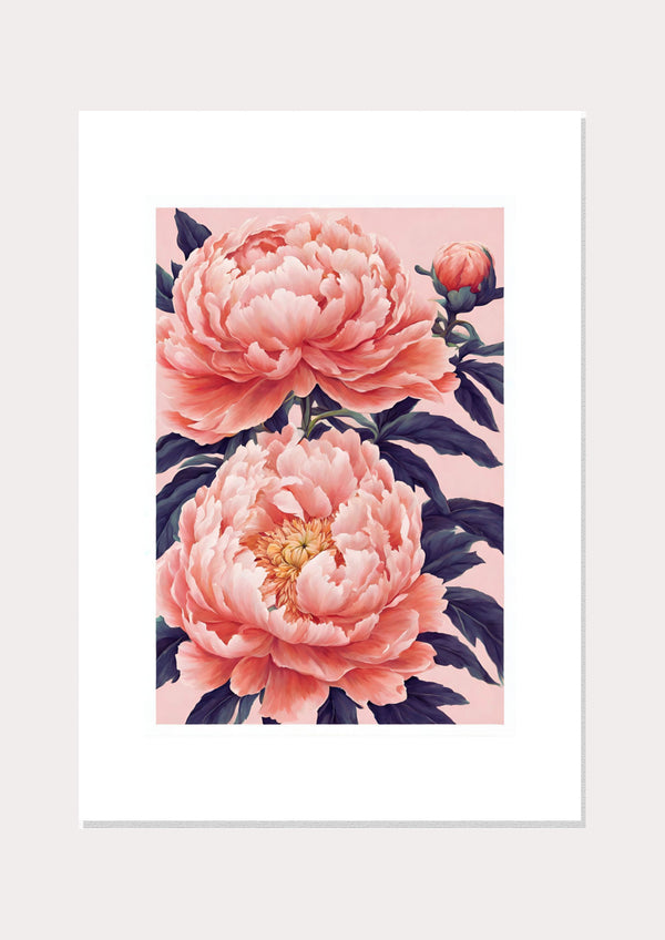 Peony 02 Print  - Wall Art Print
